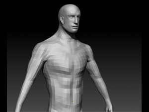 realistic male base human anatomy 3D Model