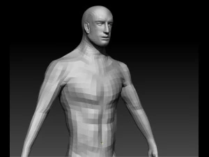 realistic male base human anatomy 3D Model