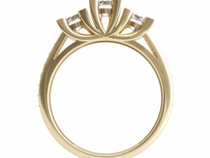 0004 rings 3D 模型