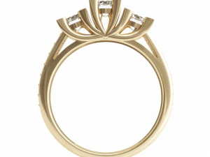 0004 rings 3D Model