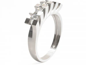 0001 rings 3D Model