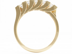 0001 rings Modèle 3D