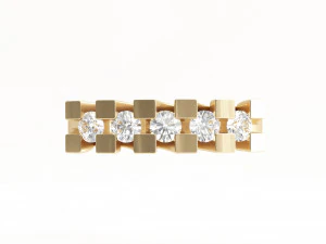 0001 rings 3D Model