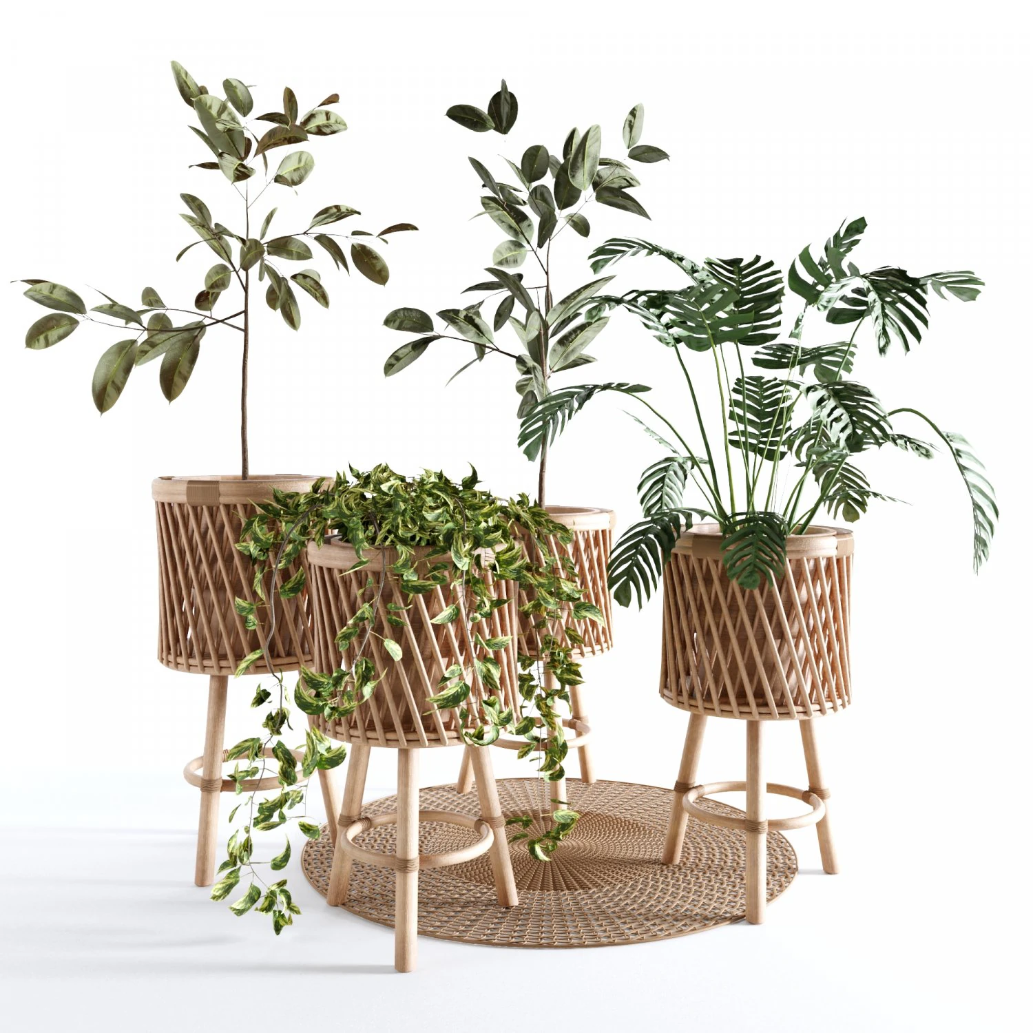 Indoor Plants Collection - Set 02 3D Model .c4d .max .obj .3ds .fbx .stl .blend 