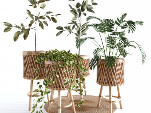 Indoor Plants Collection - Set 02 3D 모델