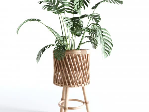 Indoor Plants Collection - Set 02 3D Model