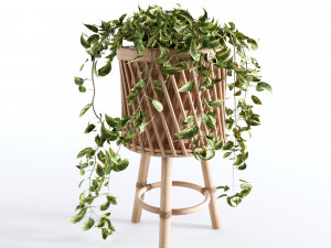 Indoor Plants Collection - Set 02 Modelo 3D