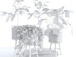 Indoor Plants Collection - Set 02 3D Model