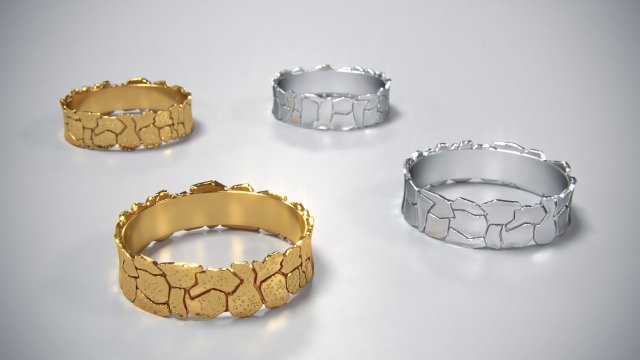 ring splinters 3d print model 3Dプリントモデル .c4d .max .obj .3ds .fbx .stl .blend 