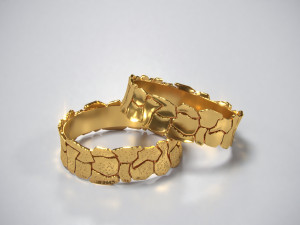 ring splinters 3d print model 3Dプリントモデル