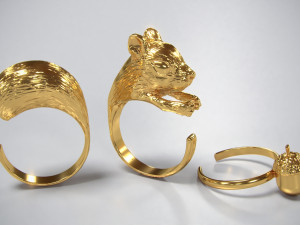 rings squirrel and acorn 3d print model 3Dプリントモデル