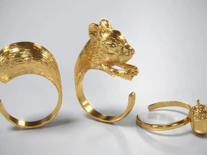 rings squirrel and acorn 3d print model 3D Print Model