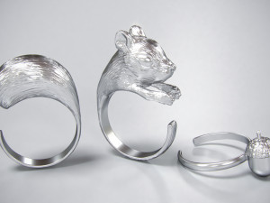 rings squirrel and acorn 3d print model 3Dプリントモデル