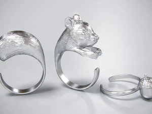 rings squirrel and acorn 3d print model 3D Print Model