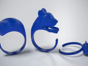 rings squirrel and acorn 3d print model 3D Print Model