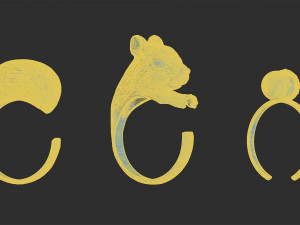 rings squirrel and acorn 3d print model 3Dプリントモデル