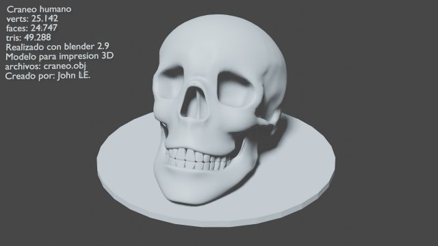 human skull 3D Print Model .c4d .max .obj .3ds .fbx .stl .blend 