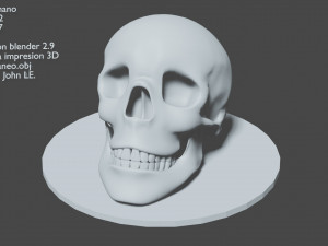 human skull Modelo de impresión 3D