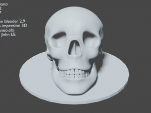 human skull 3D Print Model