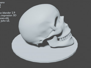 human skull 3D Print Model