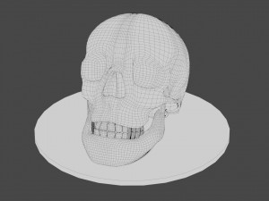 human skull 3D Print Model