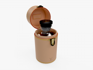 Louis vuitton travel case 3D Model