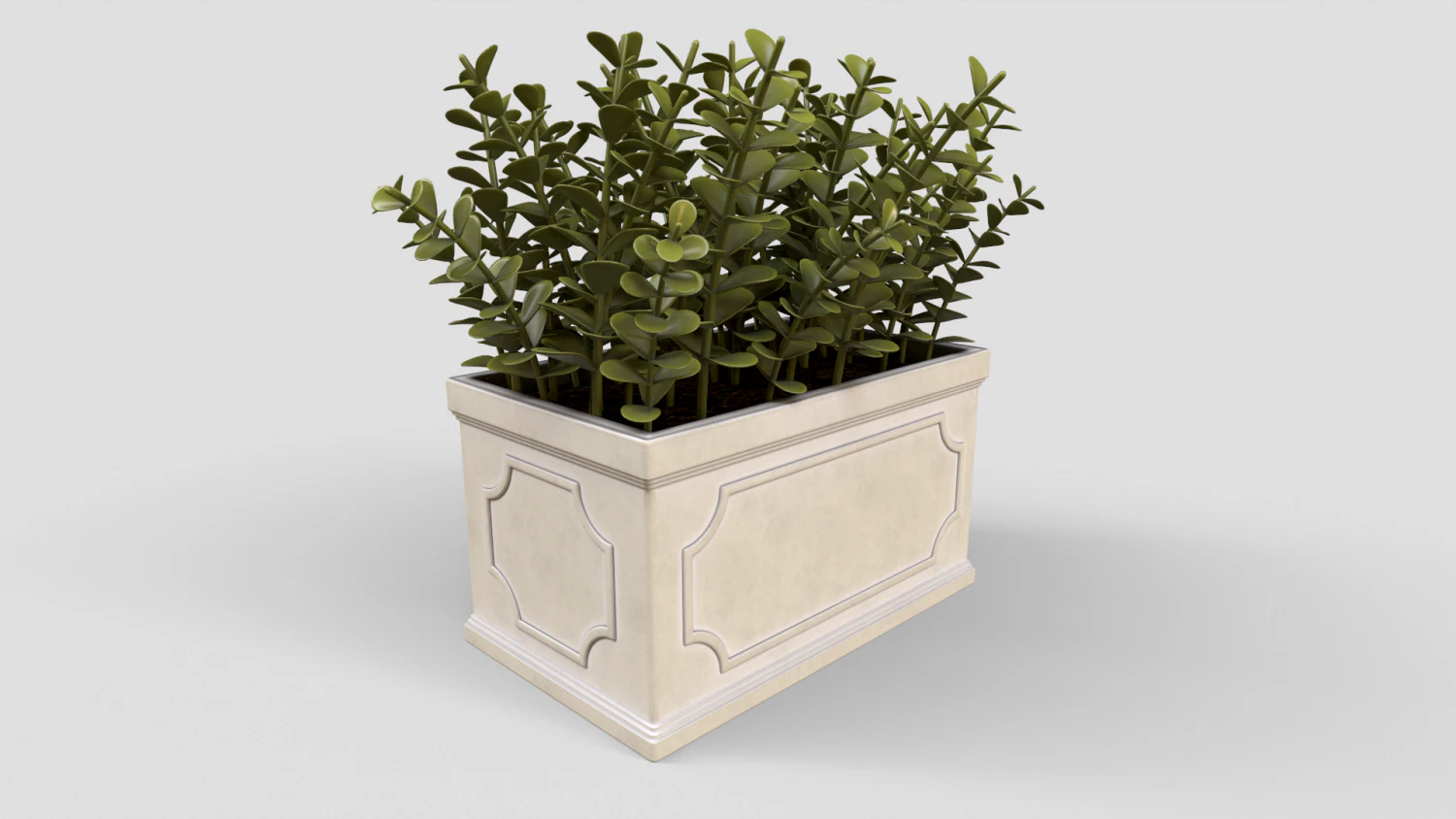 Boxwood Plant pot 3D Model .c4d .max .obj .3ds .fbx .stl .blend 