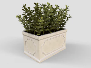 Buxus Plantenpot 3D Model