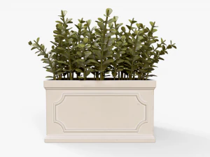 Boxwood Plant pot 3D Model