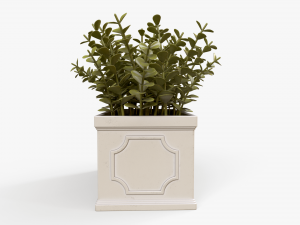 Boxwood Plant pot Modello 3D