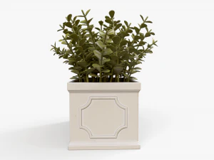 Boxwood Plant pot 3D Model