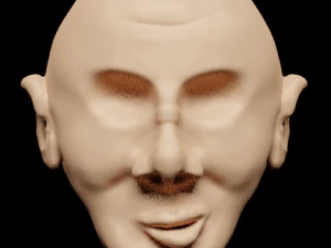 of mans face no eyes 3D Model