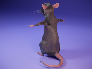 Cartoon rat Modelo 3D