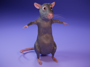 Cartoon rat Modelo 3D