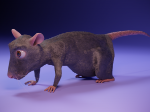 Cartoon rat Modelo 3D