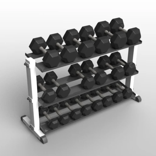 健身房举重架 3D 模型 .c4d .max .obj .3ds .fbx .stl .blend 