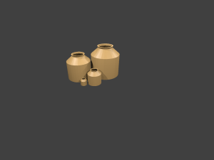 bottle Modello 3D