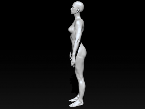 woman realistic sculpt 3D Model