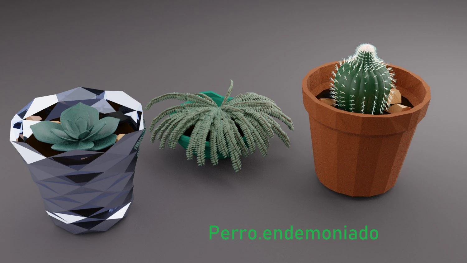 flowerpot lowpoly suculents and cactus 3D Model .c4d .max .obj .3ds .fbx .stl .blend 