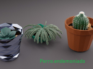 flowerpot lowpoly suculents and cactus 3D Model