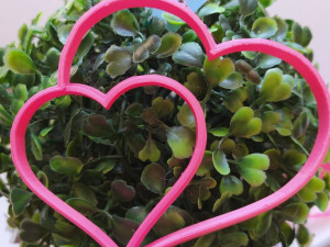 valentines daycuttingcookiesan valentin cortante galleta 2corazones 3D Принт Модель