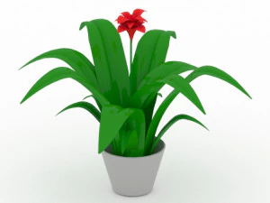 kapalı &ccedil;i&ccedil;ek 3D Model