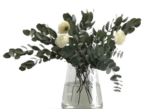 buquê de eucalipto Modelo 3D