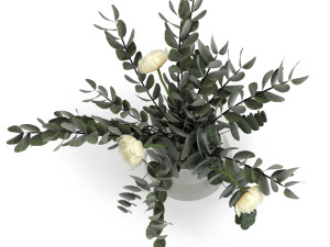 eucalyptus bouquet Model 3D