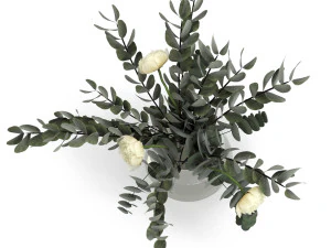 eucalyptus bouquet 3D Model
