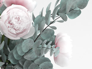 eucalyptus bouquet 3D Model