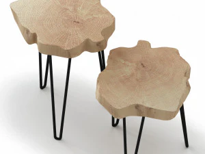 slab coffee tables 3D Model