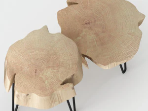 slab coffee tables 3D Model