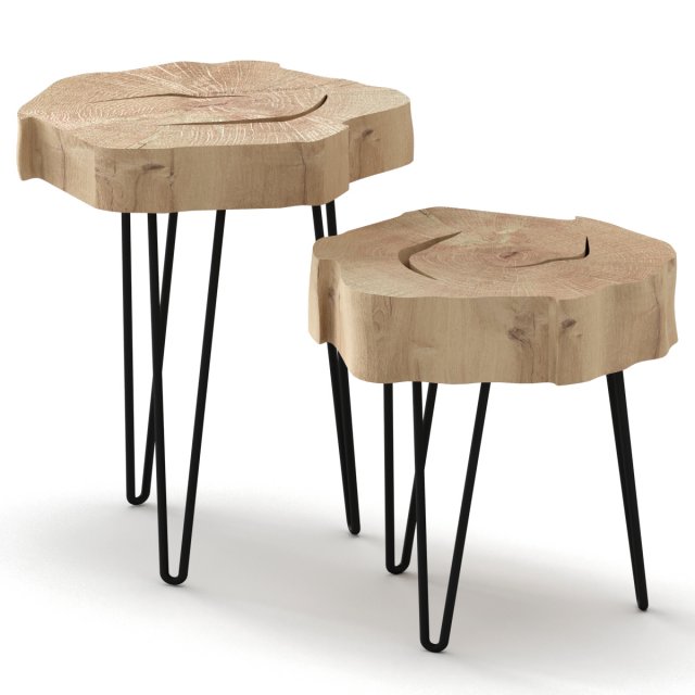 slab coffee tables 3D Модель .c4d .max .obj .3ds .fbx .stl .blend 