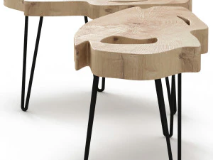 slab coffee tables 3D Model